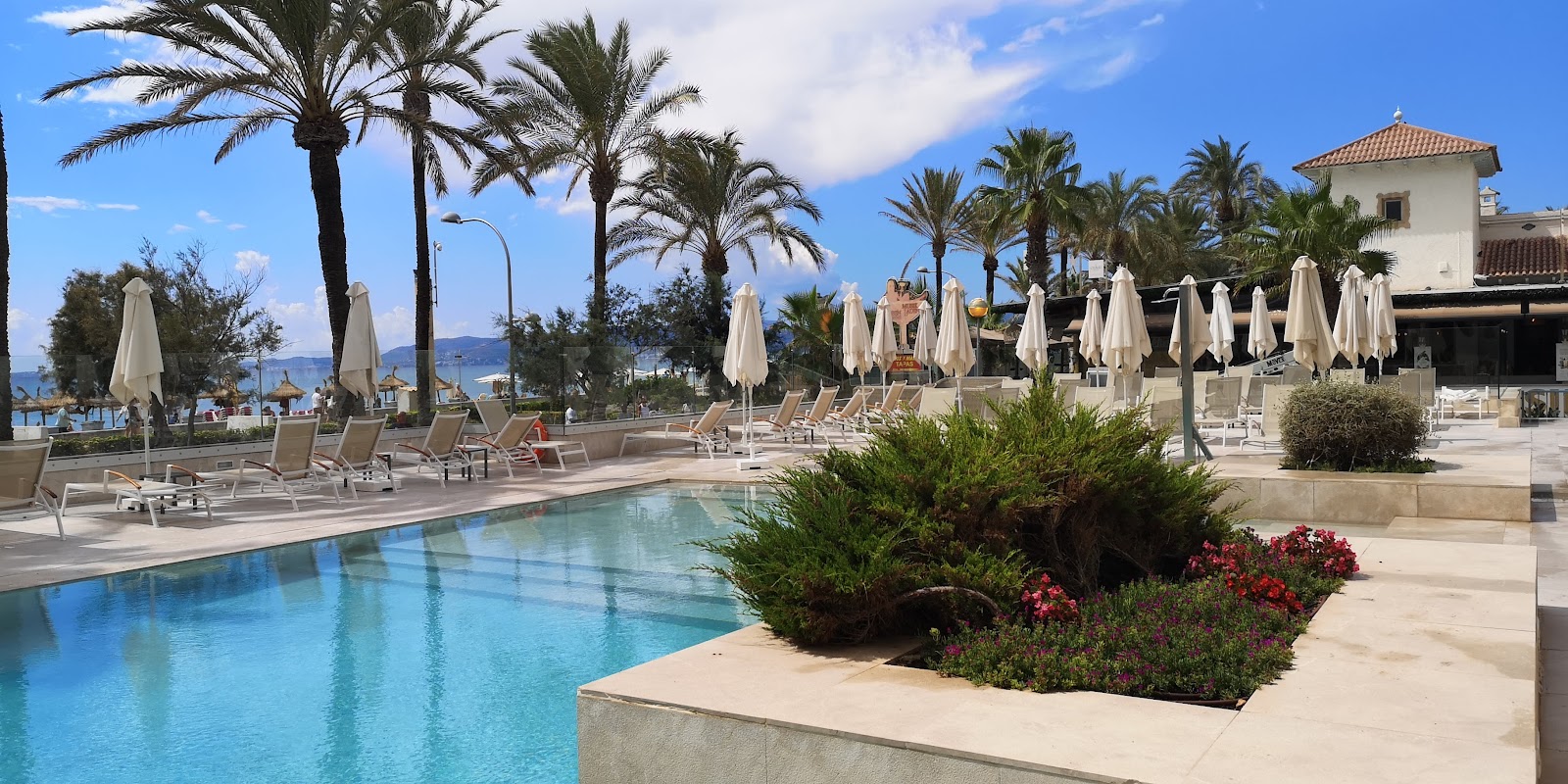 Pool area with white umbrellas, lounge chairs, and palm trees at Hotel MySeaHouse Flamingo, sea visible in background.