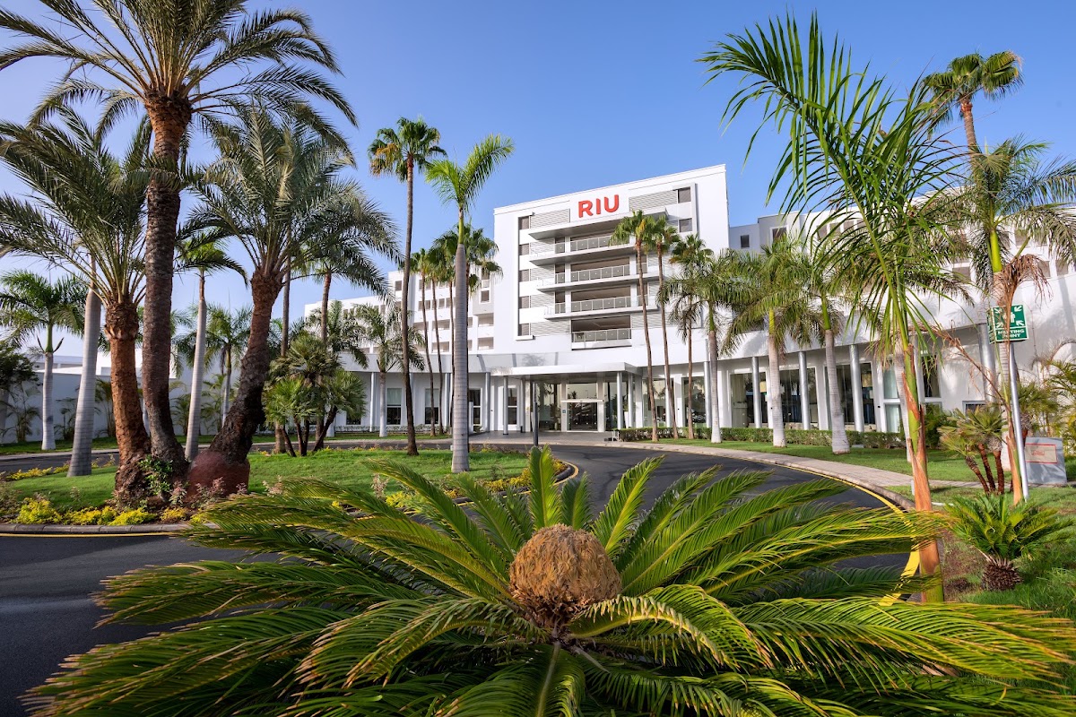 White multi-story Riu resort building surrounded by tall palm trees and tropical landscaping under clear blue sky.