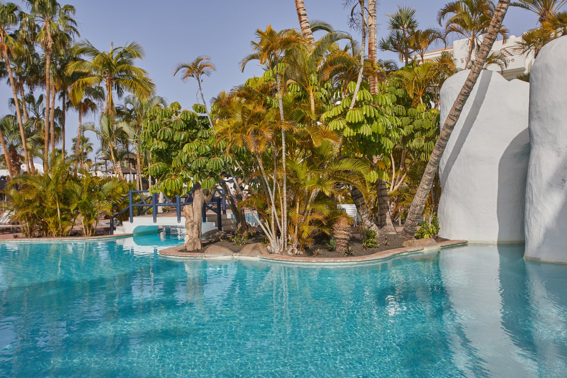 Sunlit pool corner with palm island, blue bridge and curved white walls.