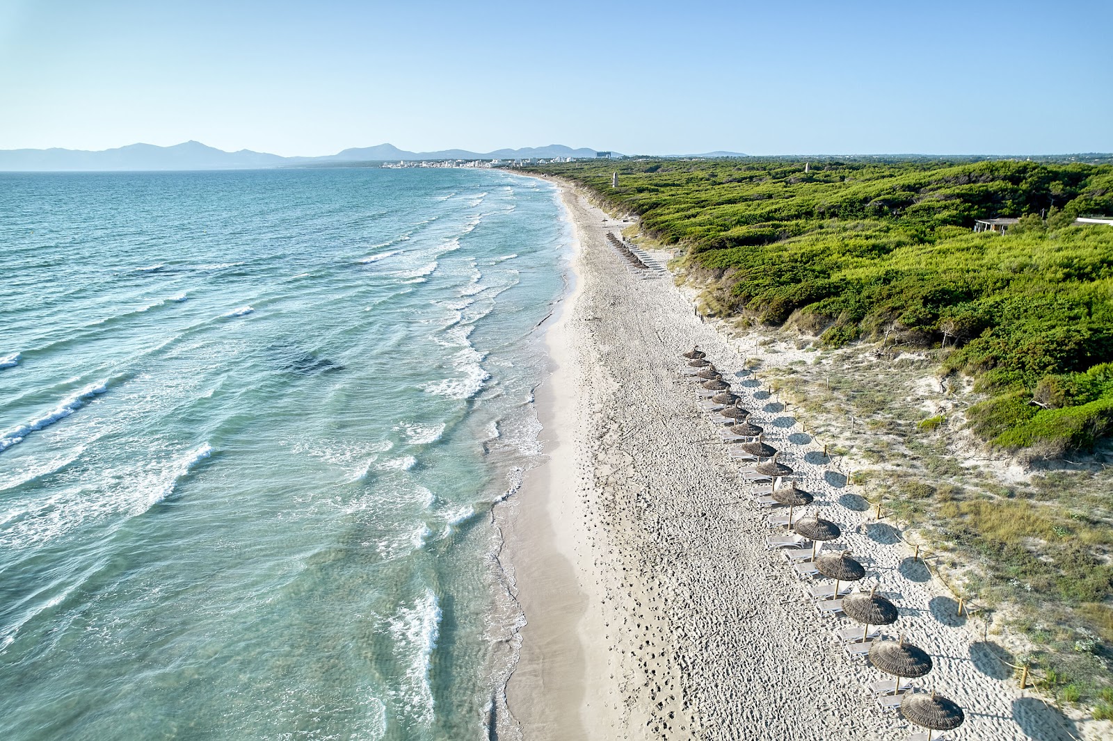 Sandy beach lined with thatched umbrellas at Iberostar Selection Albufera Playa, with turquoise waves and green dunes stretching along the coast.