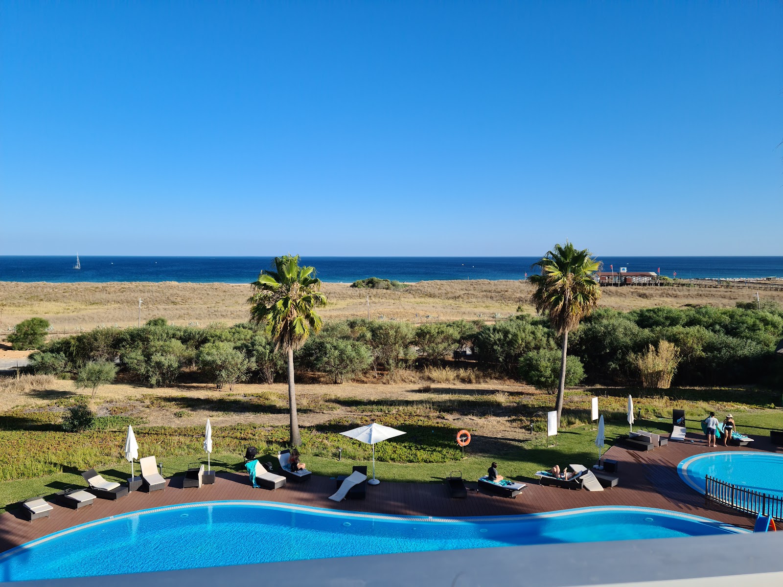 Curved swimming pool with lounge chairs and umbrellas overlooks a beach lined with palm trees and the blue Mediterranean Sea.