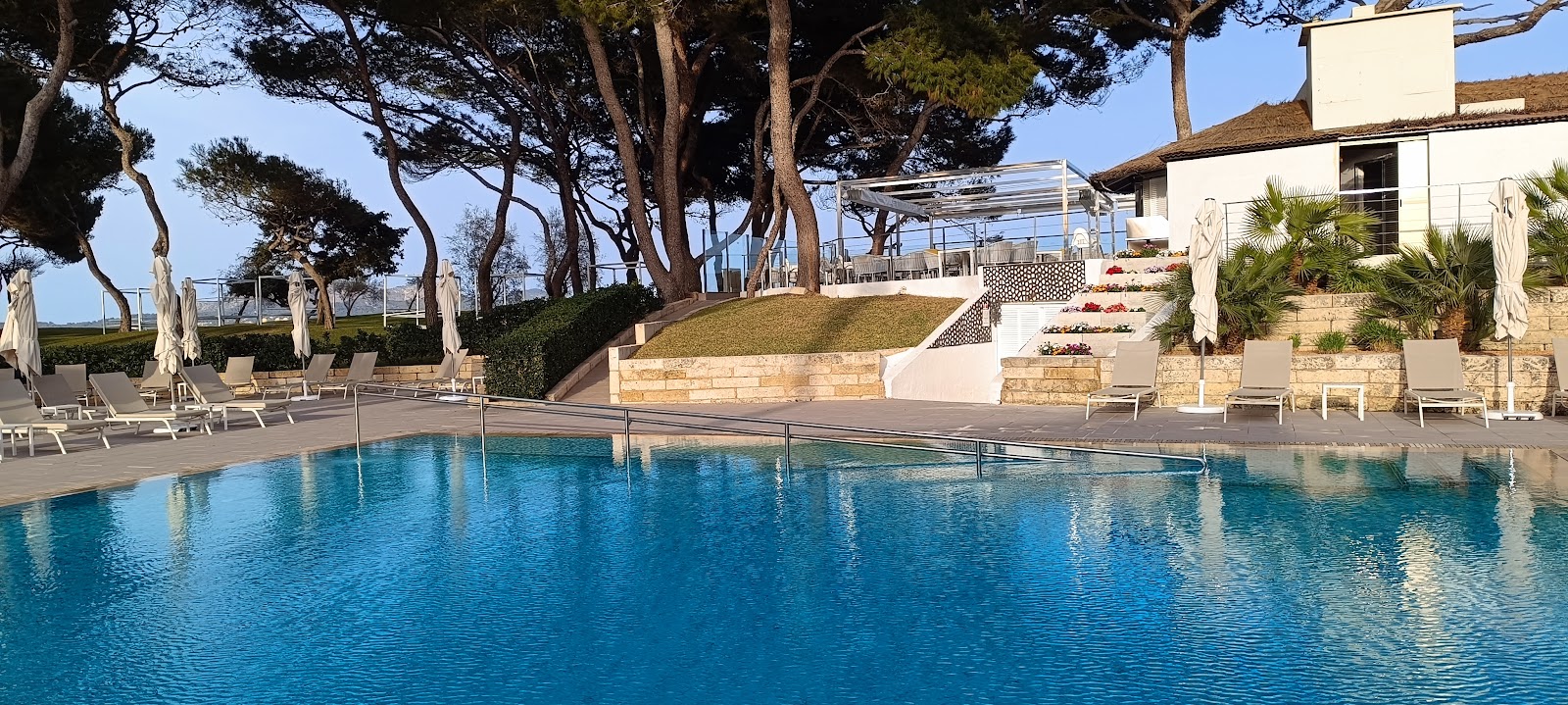Resort pool with loungers and white umbrellas beneath tall pine trees, stone terracing, and cream-colored buildings on a clear day.