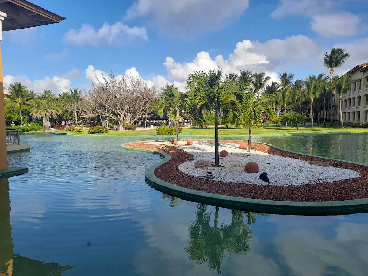 Lagoon with landscaped island featuring palm trees and native plants, surrounded by manicured grounds and resort buildings under blue sky.