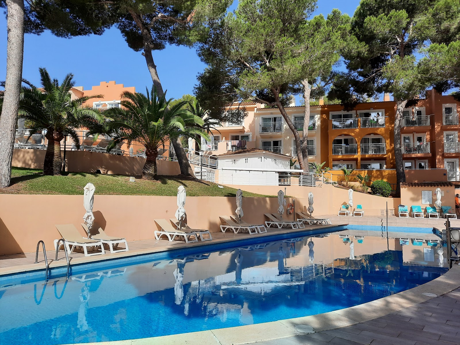 Swimming pool with lane markers at Iberostar Waves Club Cala Barca, surrounded by lounge chairs, white umbrellas, and terracotta resort buildings under tall pine trees.