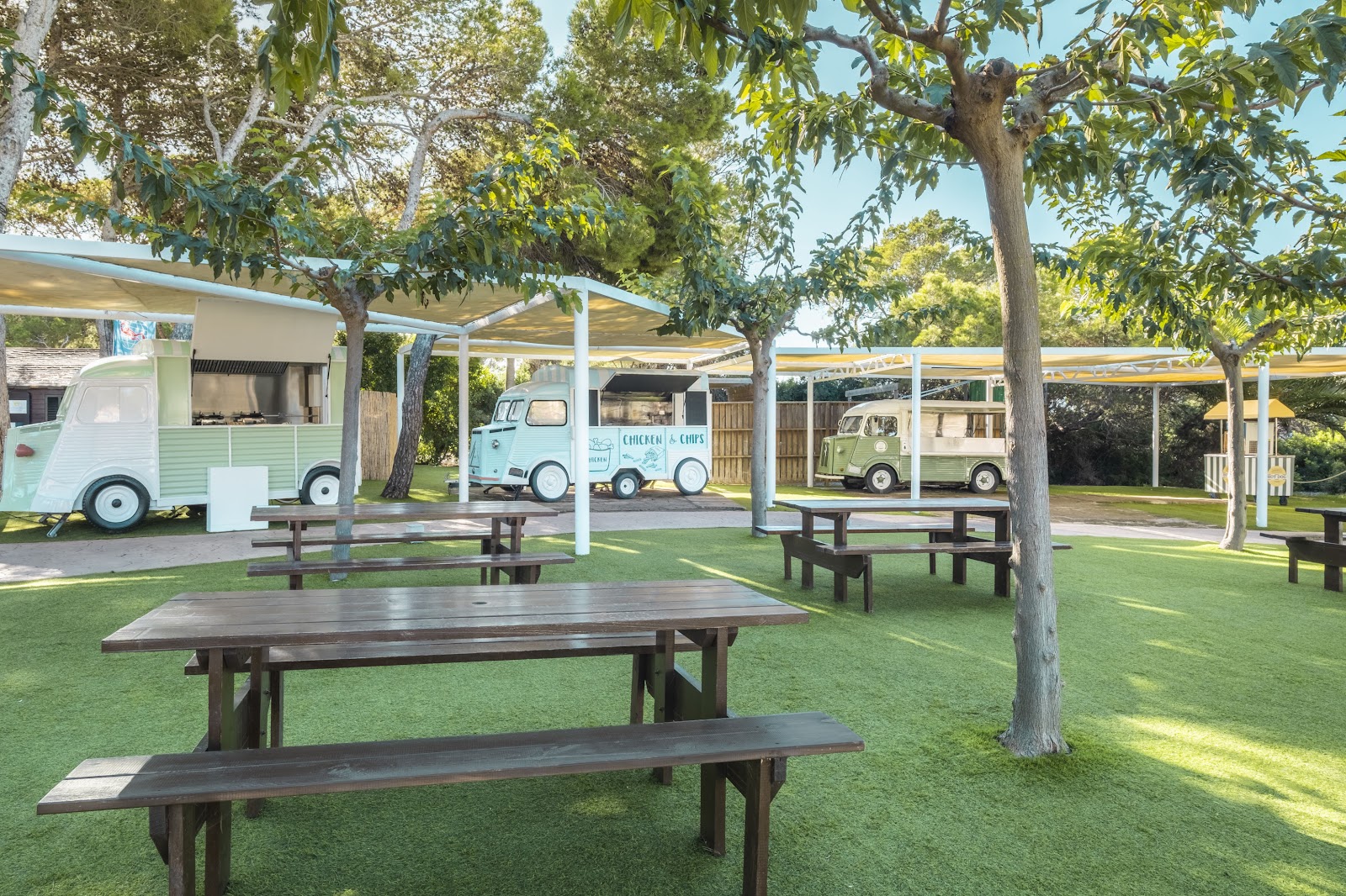 White dining chairs and tables set on sandy ground beneath pine trees, with a beach and turquoise water visible between the trees at Iberostar Waves Club Cala Barca.