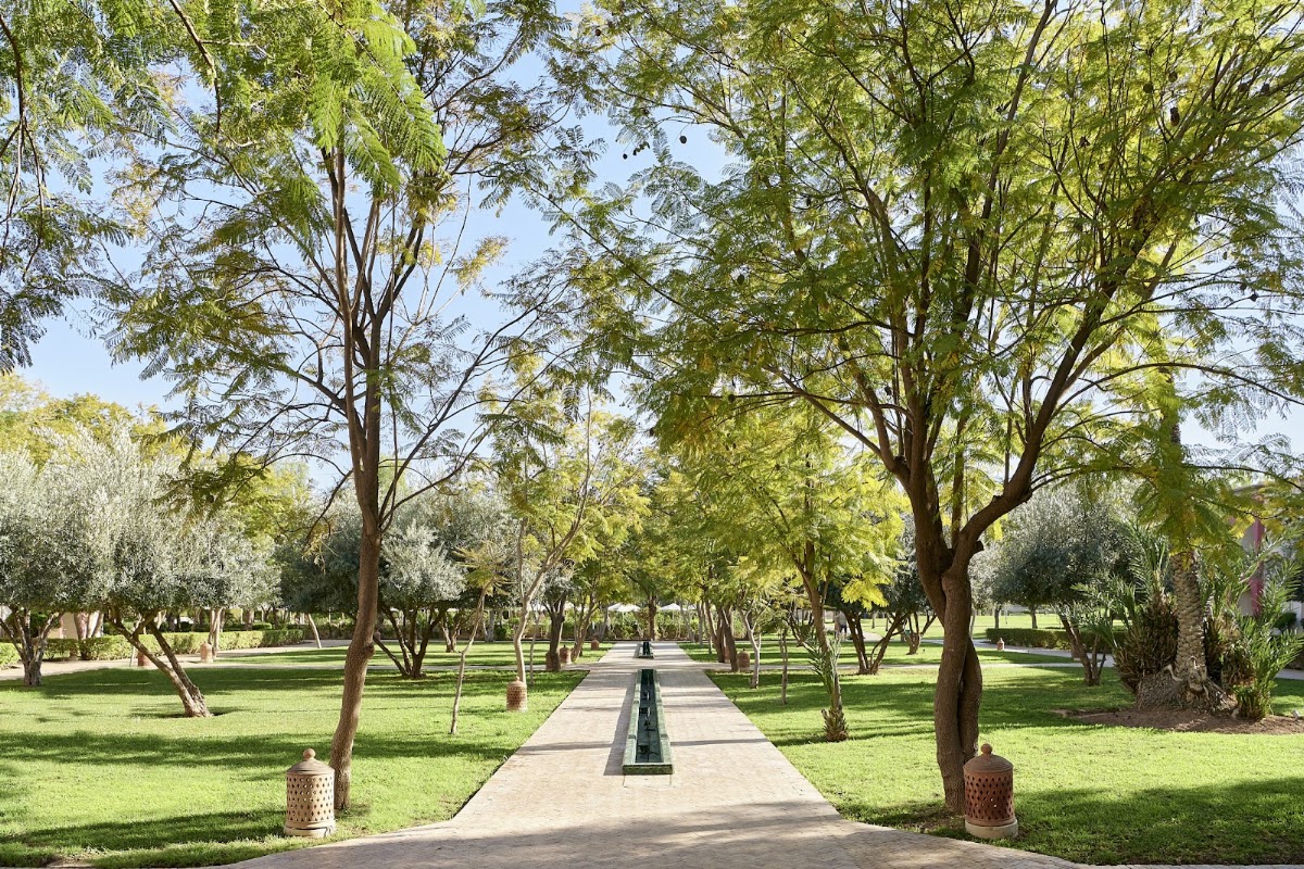 Tree-lined pathway with manicured lawns and a central water channel at Iberostar Waves Club Palmeraie Marrakech.