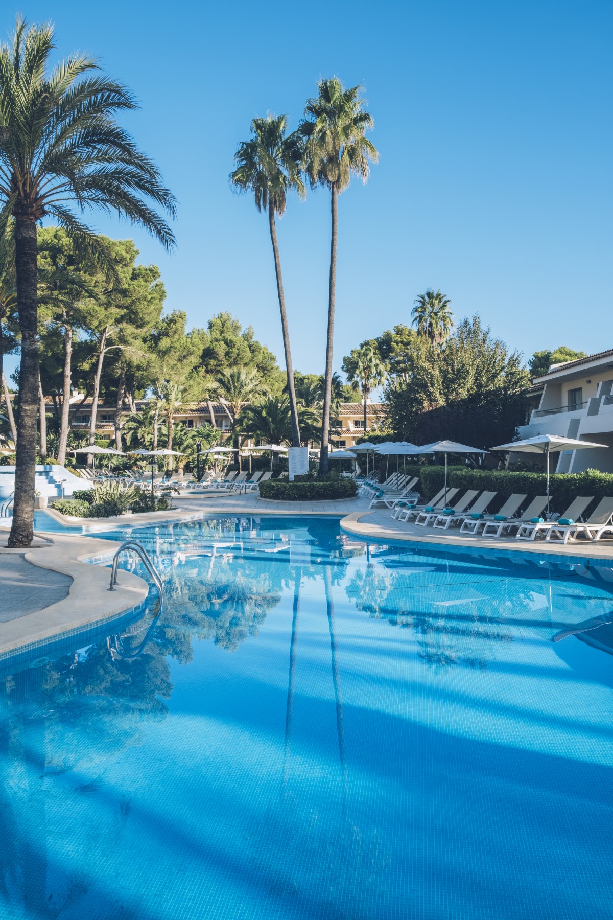 Resort pool with blue loungers, palm trees including two tall palms, and terraced buildings under clear sky.