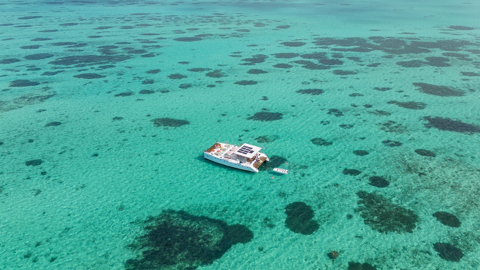 Aerial view of a white catamaran anchored in shallow turquoise water with dark coral formations scattered across the sandy bottom.