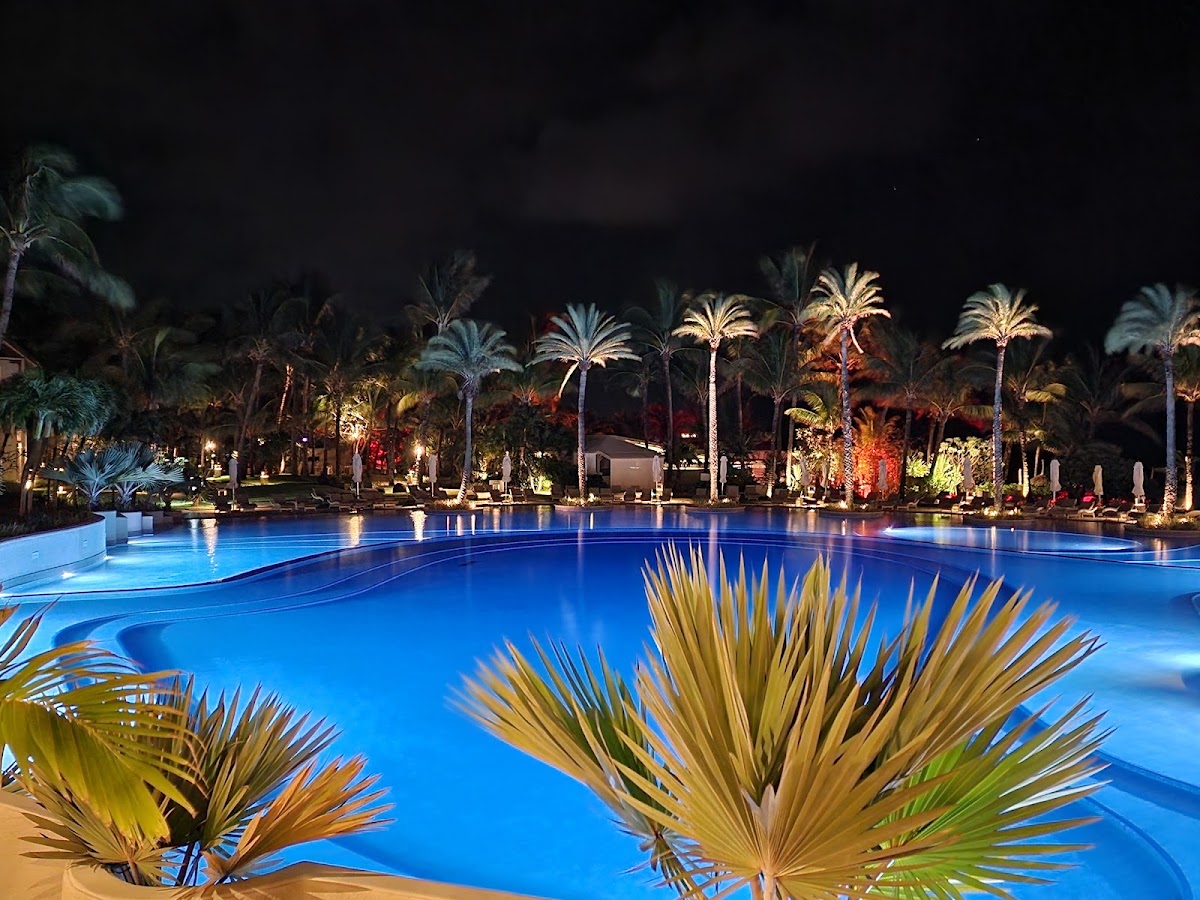 Illuminated resort pool at night with palm fronds in foreground, lit palms and buildings along the shore under dark sky.