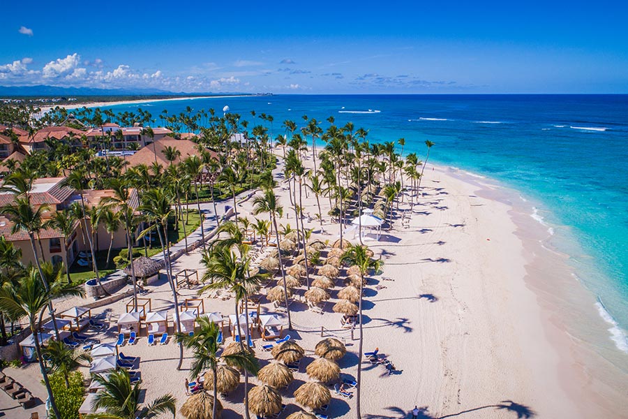 Majestic Colonial Punta Cana beachfront with palm trees, thatched umbrellas, loungers on white sand, and turquoise ocean under clear blue sky.