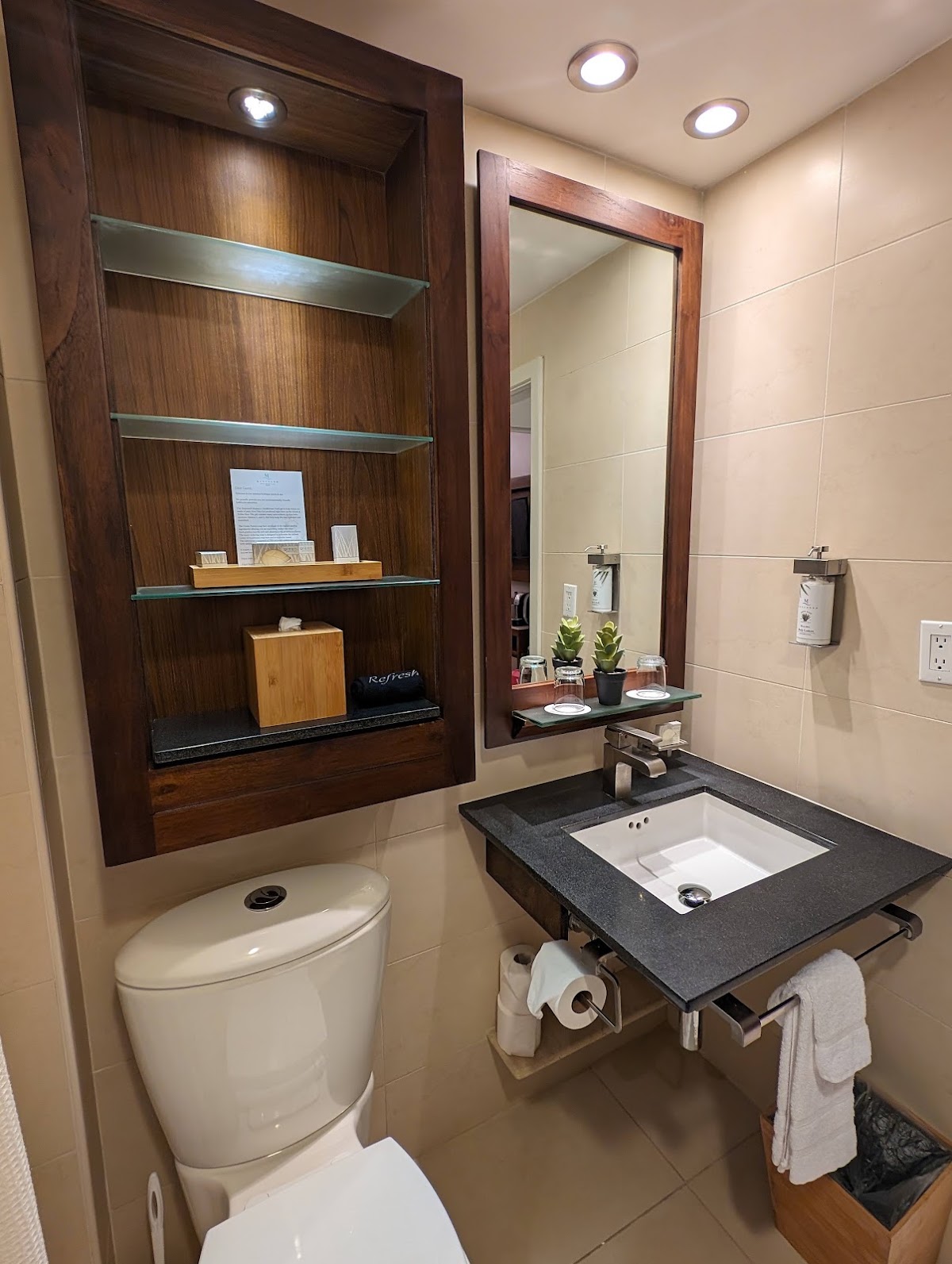 Modern bathroom with dark wood-framed mirror, white sink vanity with black countertop, glass shelving unit, and white toilet, accented with potted plants and towels.