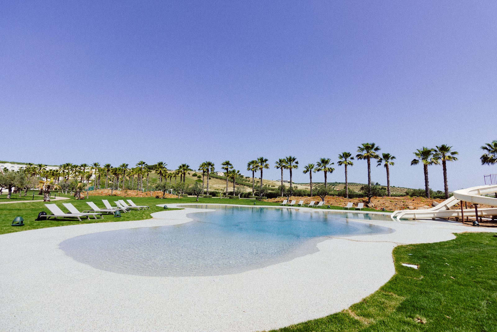 Resort pool with sandy beach entry, lounge chairs on grass, and palm trees lining the landscaped grounds under clear sky.