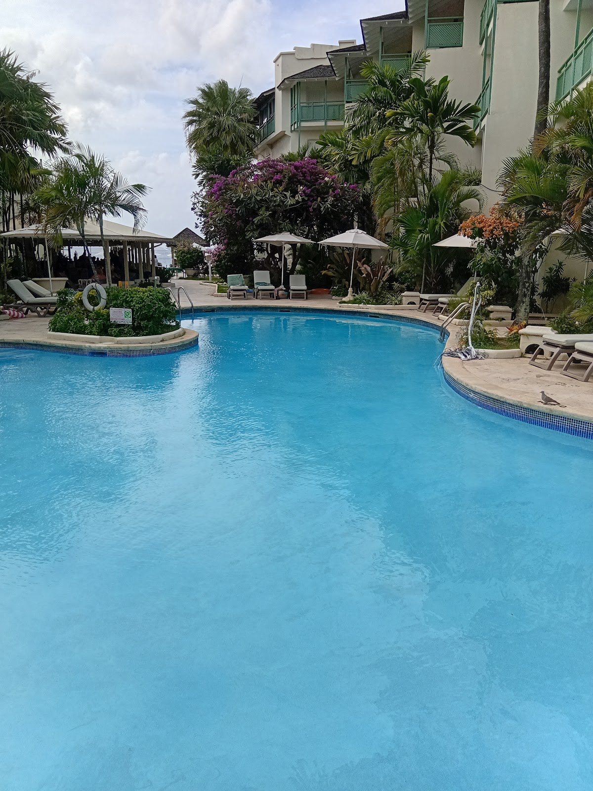 Curved pool with white umbrellas, loungers, and palm trees surrounding multi-story resort buildings with green shutters.