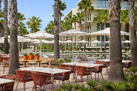 Outdoor dining area with terracotta chairs and white tables beneath tall palm trees, white umbrellas, and a resort building in the background.