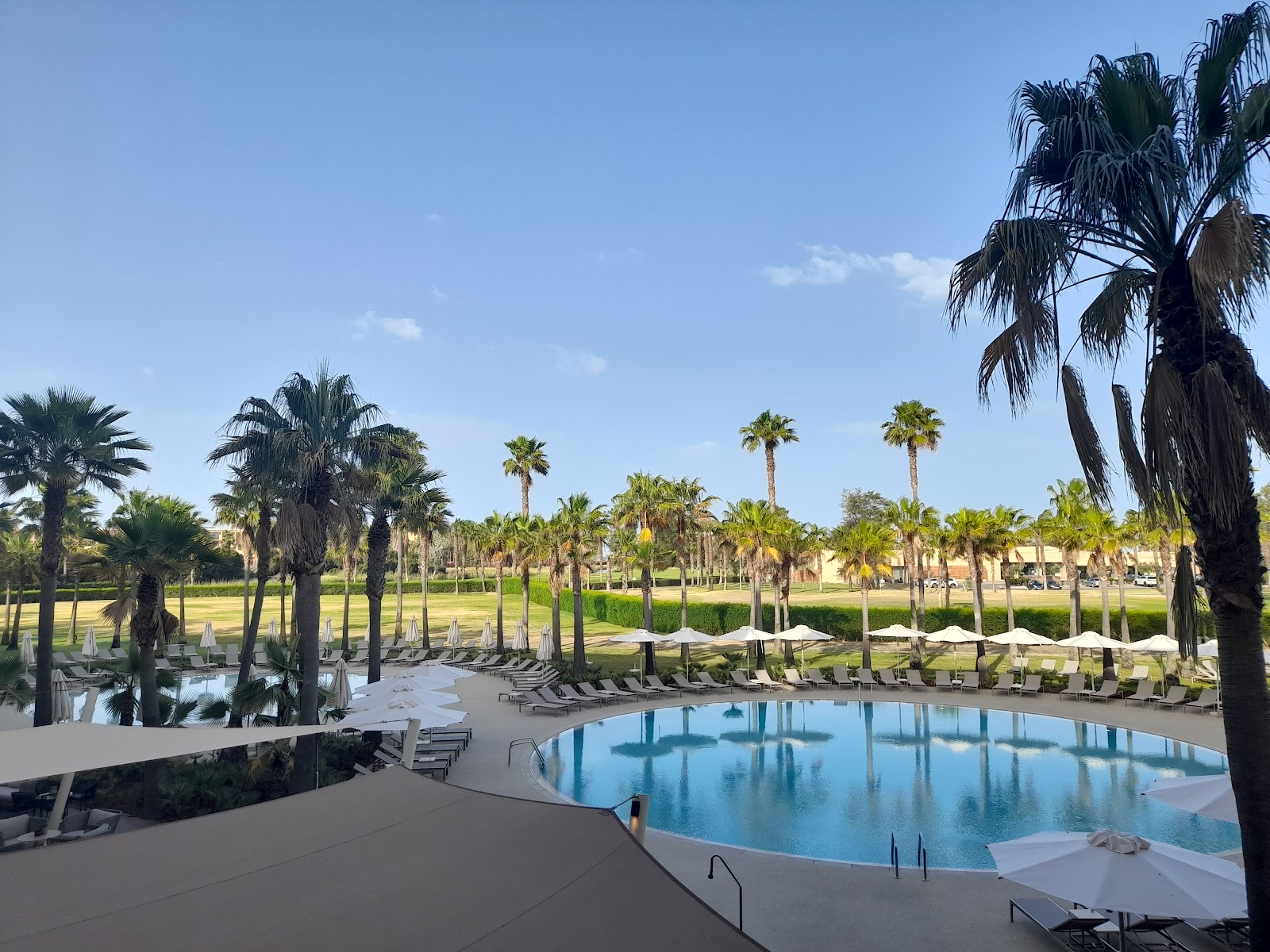 Curved resort pool with blue water surrounded by palm trees, lounge chairs, white umbrellas, and manicured green grounds under clear sky.