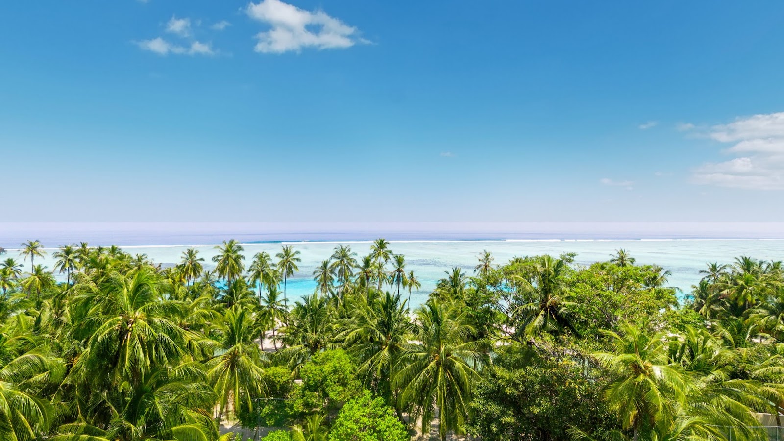Turquoise lagoon with two people on a paddleboard, sandy beach, palm trees, and colorful boats near Meeru Maldives Resort.