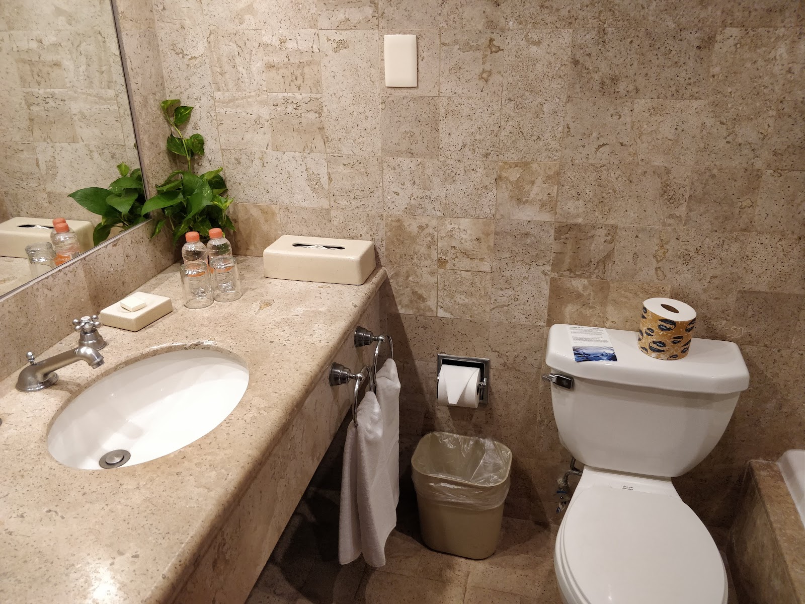 Bathroom with travertine tile walls, white sink with faucet, toilet, and countertop with toiletries, water bottles, and potted plant.