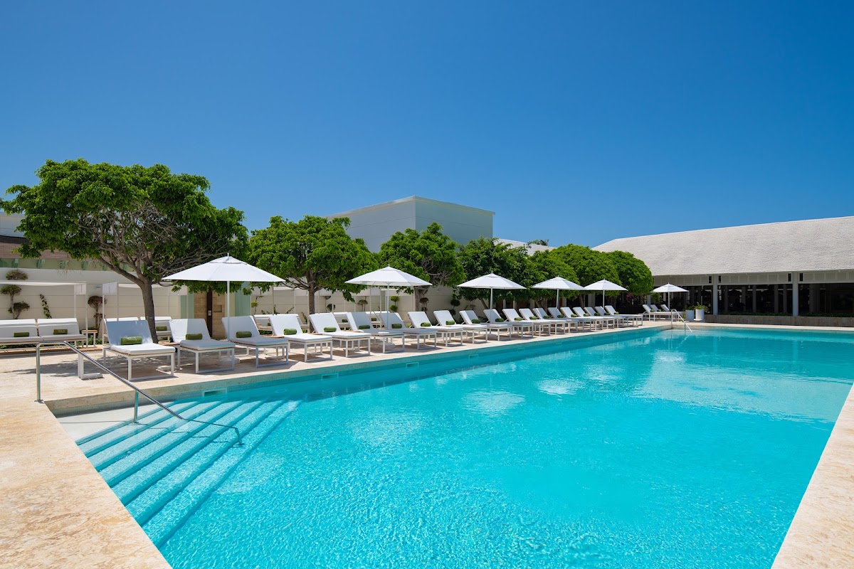 Rectangular pool with turquoise water and lounge chairs lined along the deck, white umbrellas and green trees shading the seating area under clear blue sky.