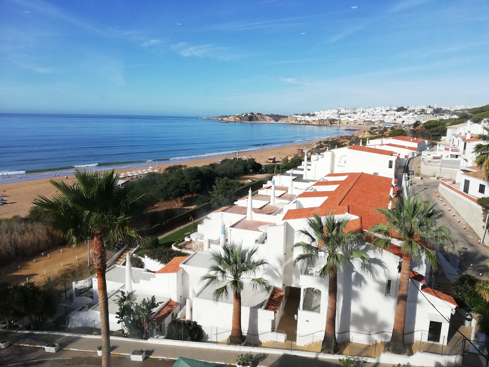 White buildings with terracotta roofs and palm trees overlook a sandy beach and blue Mediterranean Sea at Apartamentos Monica Isabel Beach Club.