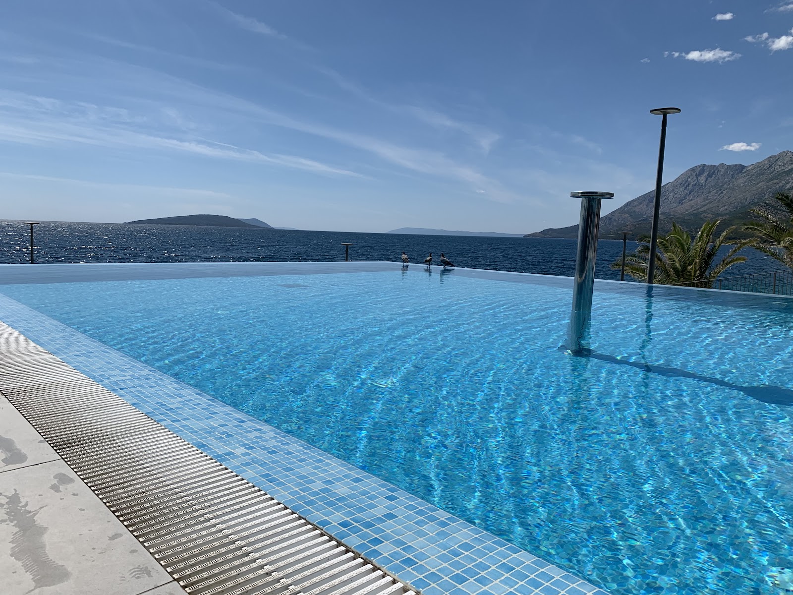 Resort pool overlooking the Adriatic Sea with a few swimmers, rocky coastline, and mountains under clear blue sky.