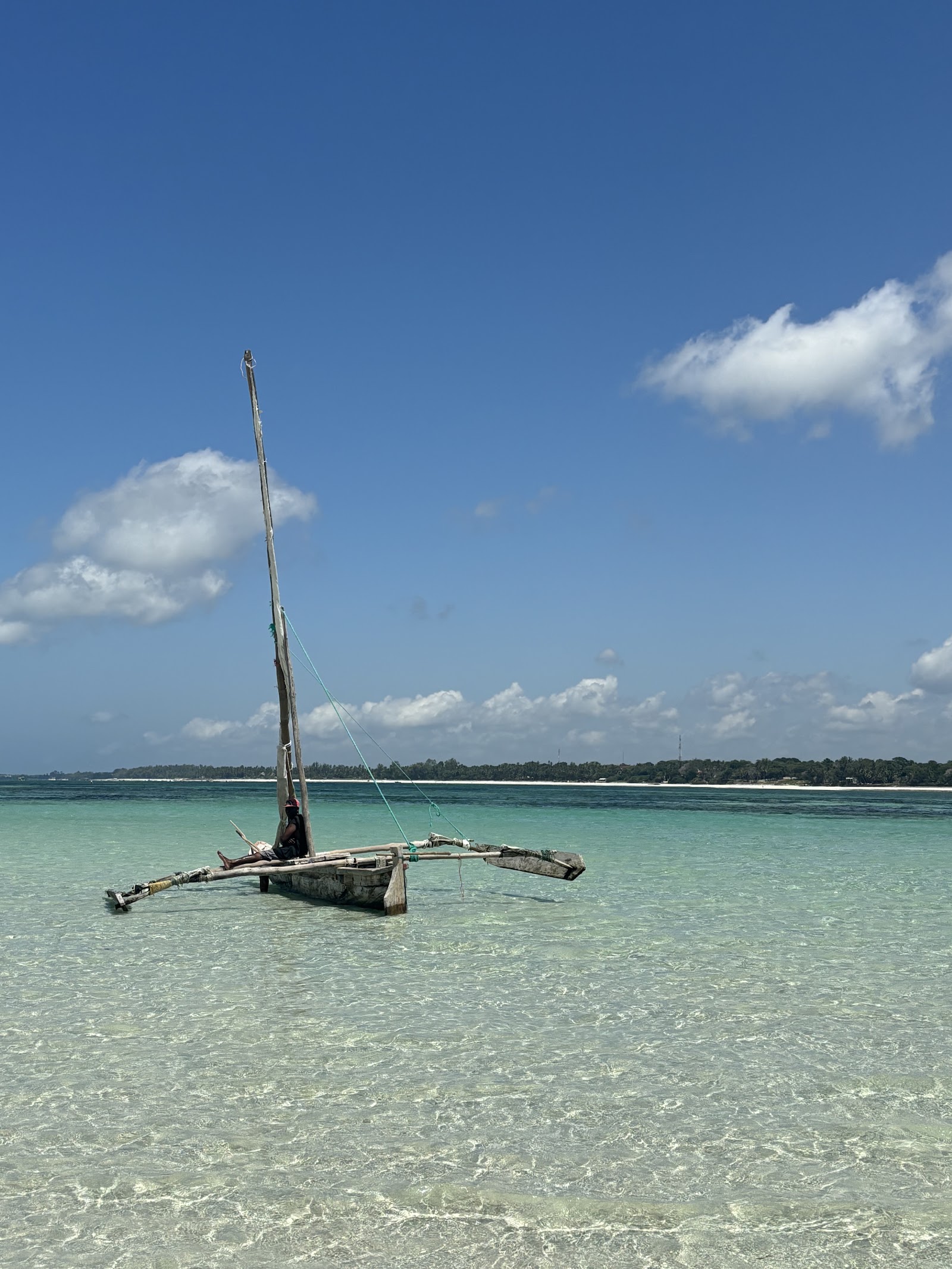 Clear turquoise water with sandy beach and palm trees lining the shore at Neptune Paradise Beach Resort & Spa.