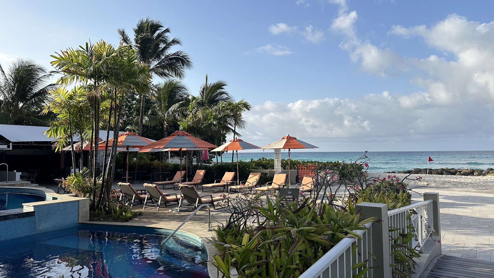 Pool and beach area with lounge chairs, orange umbrellas, palm trees, and ocean view at O2 Beach Club & Spa.