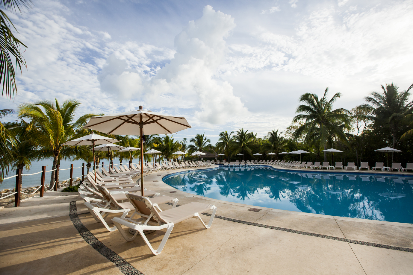 Large curved pool with white lounge chairs and umbrellas, surrounded by palm trees and ocean view at Occidental Cozumel.