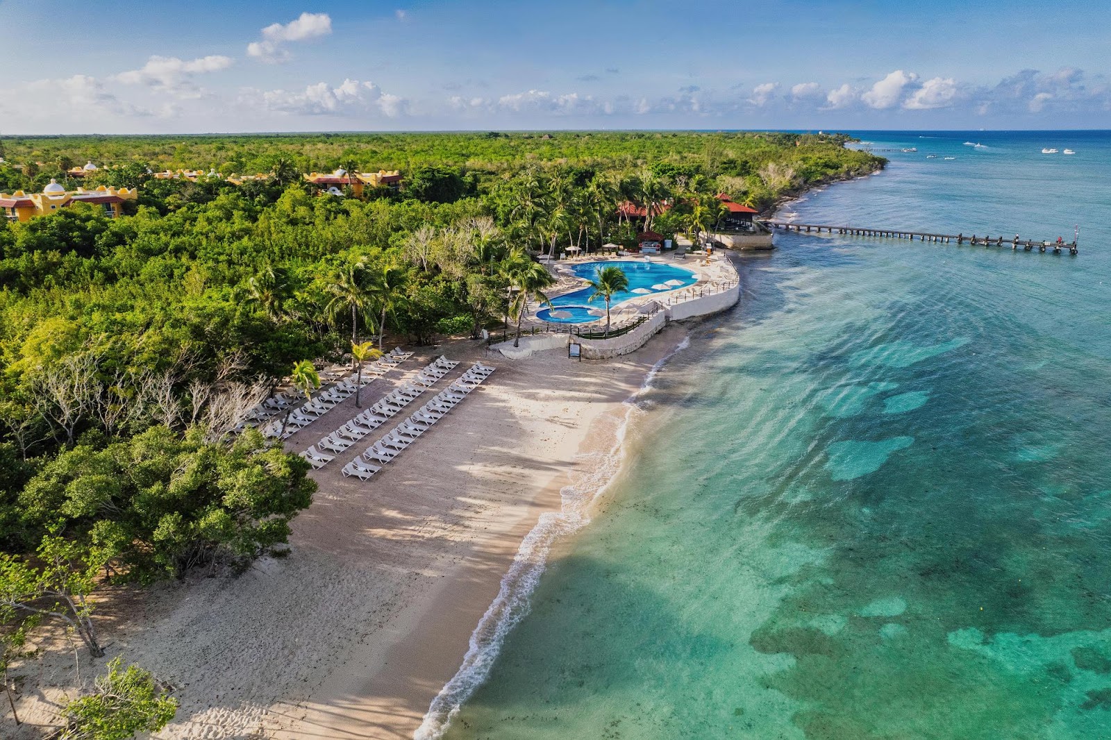 White lounge chairs line a sandy beach with turquoise water and mangrove trees under blue sky at Occidental Cozumel.