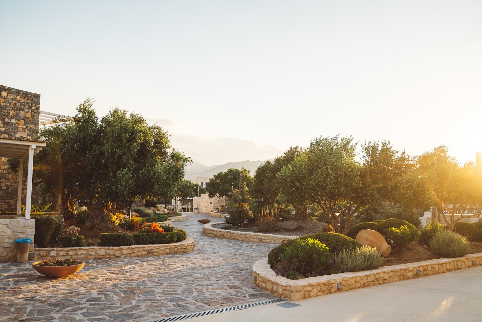 Stone pathways wind through olive tree-lined gardens at sunset, with mountains visible beyond white-walled buildings.