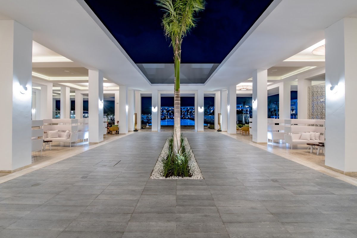 Modern resort lobby with symmetrical white columns, central palm tree planter, and ocean views through floor-to-ceiling windows at night.