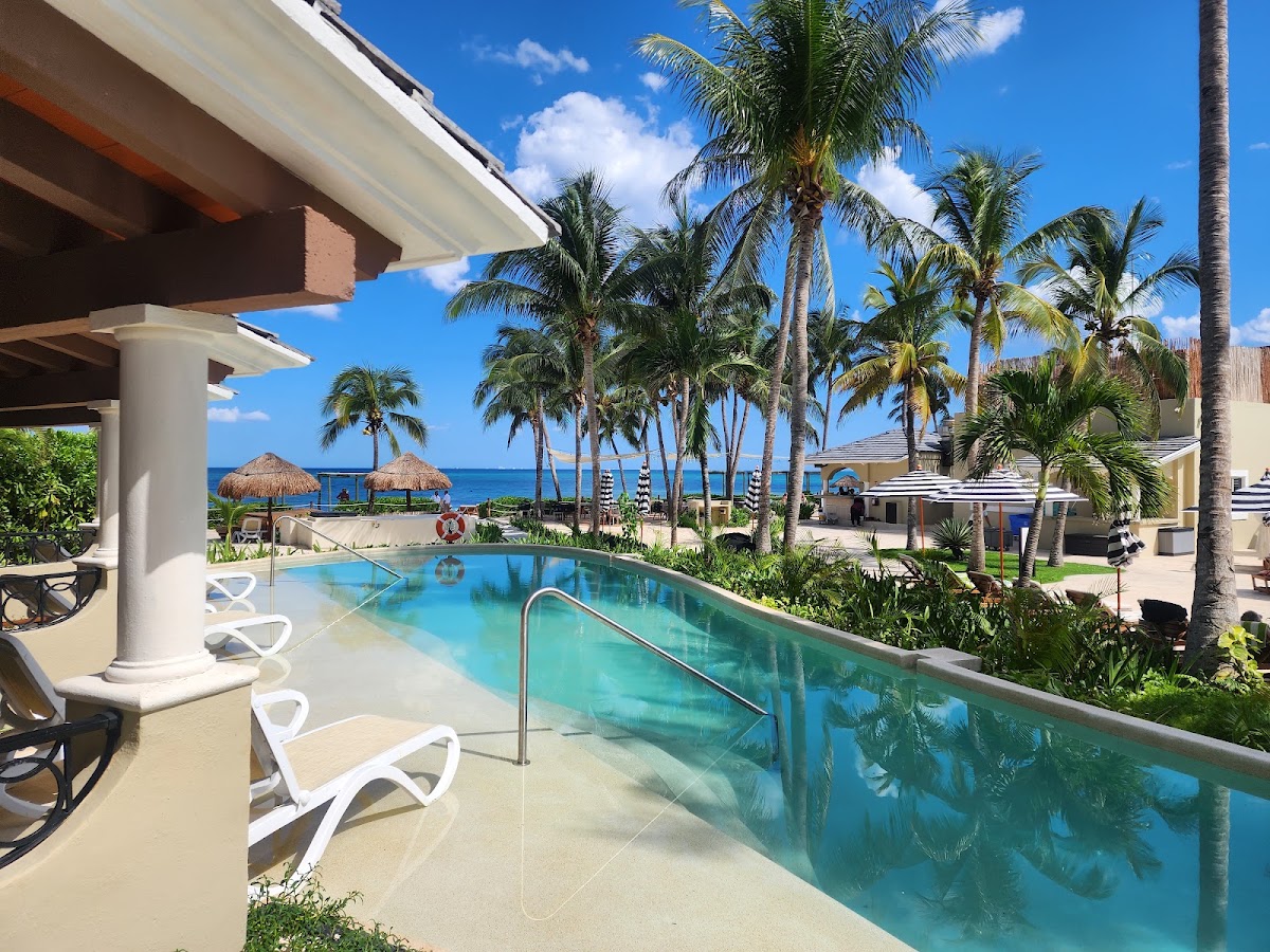 Resort pool surrounded by palm trees with ocean and beach palapas visible beyond, clear blue sky overhead.