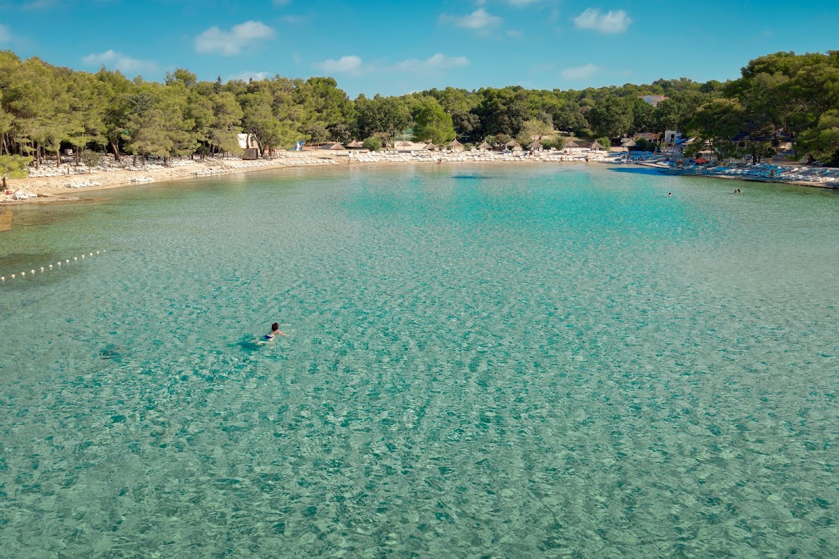 Swimmer in clear turquoise water at Pine Beach Pakoštane, with pebbly beach and forested shoreline under blue sky.