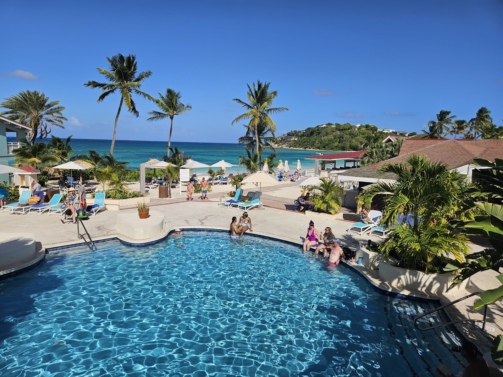 Resort pool with guests swimming and lounging, palm trees, beach umbrellas, and turquoise ocean beyond under clear blue sky.