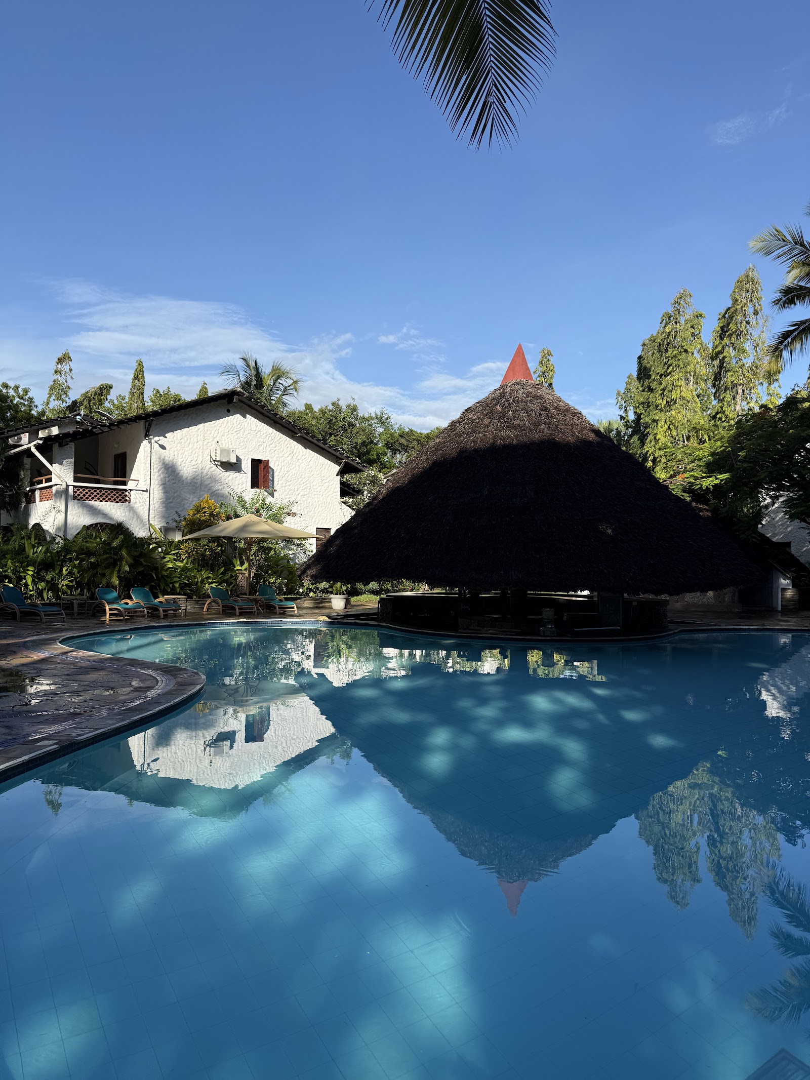 Blue swimming pool with thatched-roof bar structure, white lodge building, and tropical vegetation under clear sky at Pinewood Beach Resort & Spa.