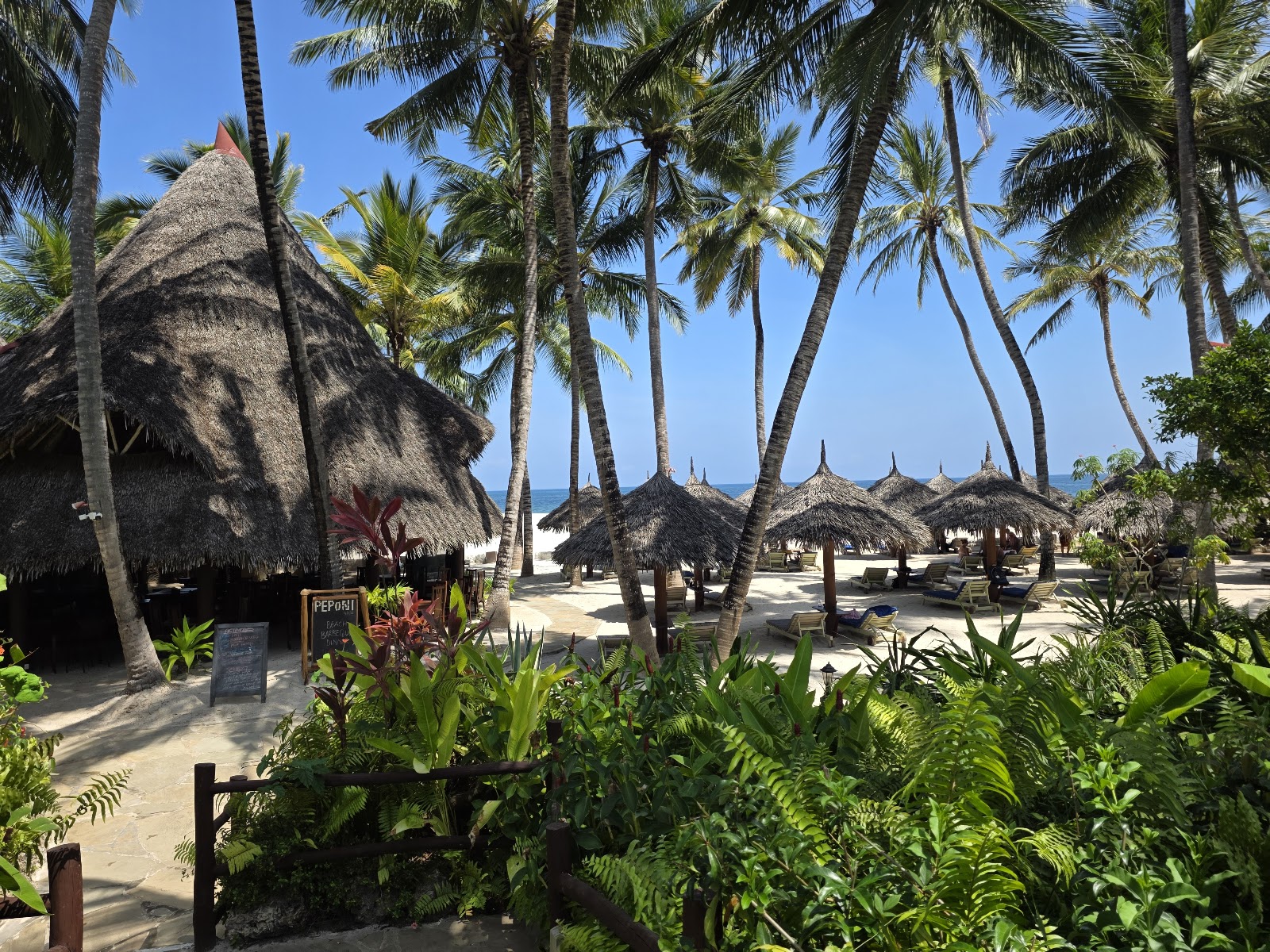 Beach club with thatched-roof structures and palm trees at Pinewood Beach Resort & Spa, ocean visible beyond.
