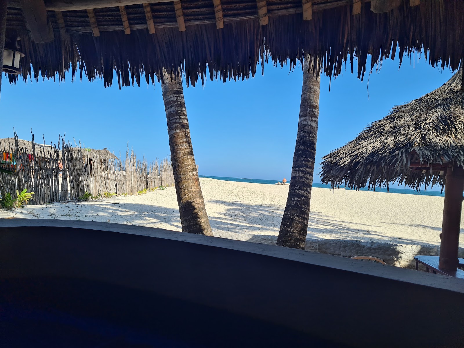 View from beneath a thatched palapa at Pinewood Beach Resort & Spa, with palm trunks framing a sandy beach and clear blue ocean.