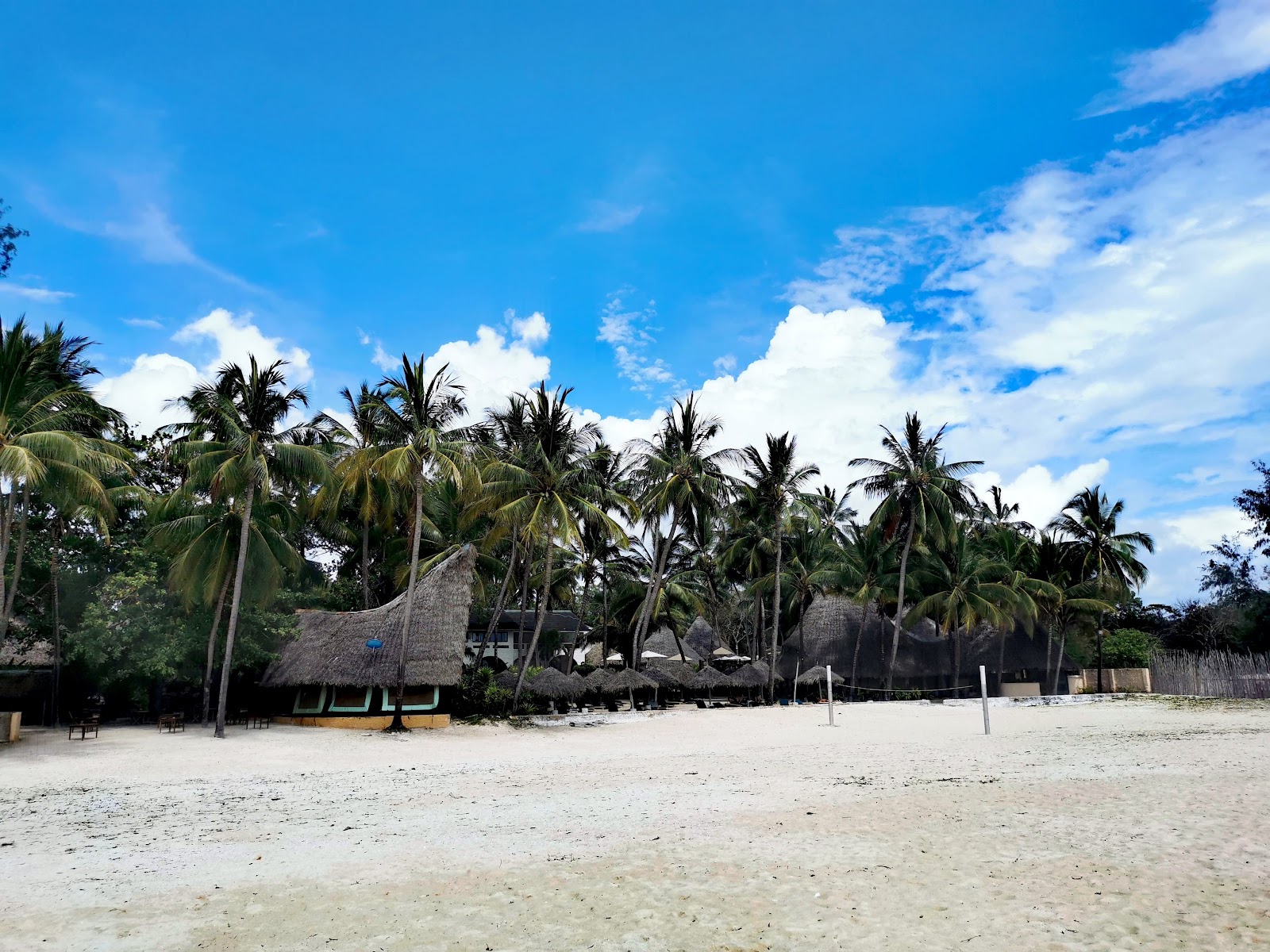 Sandy beach with thatched-roof bungalows and palm trees at Pinewood Beach Resort & Spa under blue sky with white clouds.