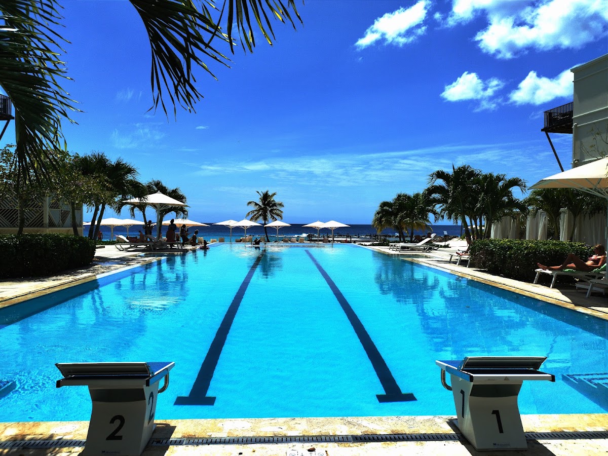 Lap pool with lane dividers at The Pyrmont Curaçao, flanked by lounge chairs and white umbrellas, with ocean and palm trees beyond under clear blue sky.