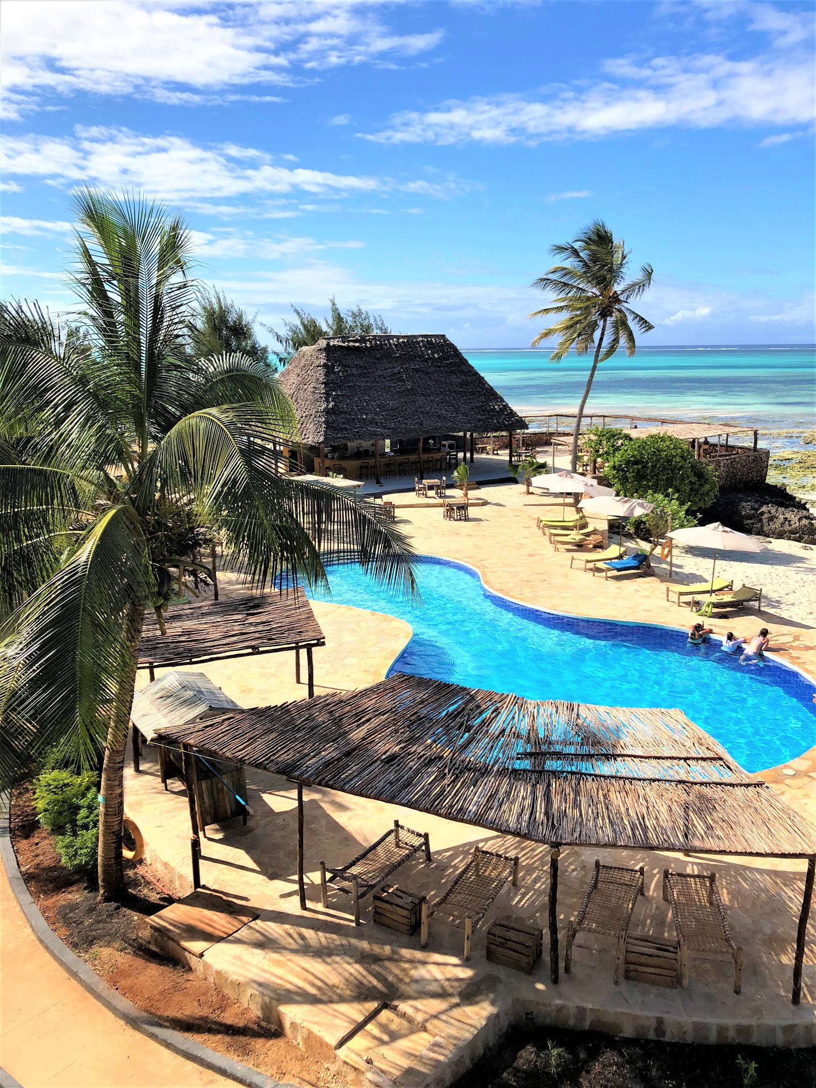 Curved pool with lounge chairs and thatch-roof structures on sandy beach, turquoise ocean and palm trees beyond at Reef & Beach Resort.