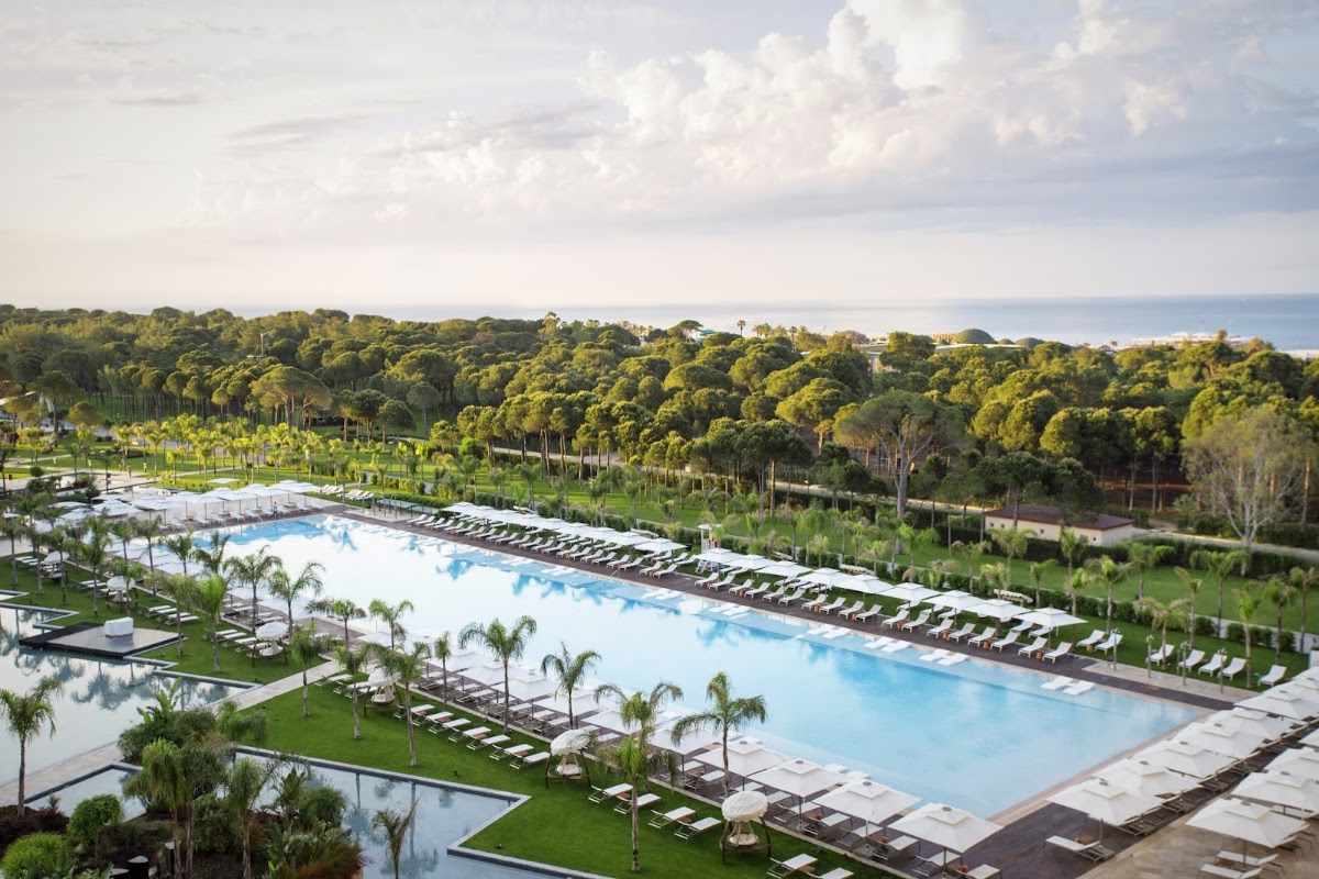 Large resort pool with loungers and umbrellas bordered by manicured grounds, palm trees, and dense forest sloping toward the Mediterranean Sea.