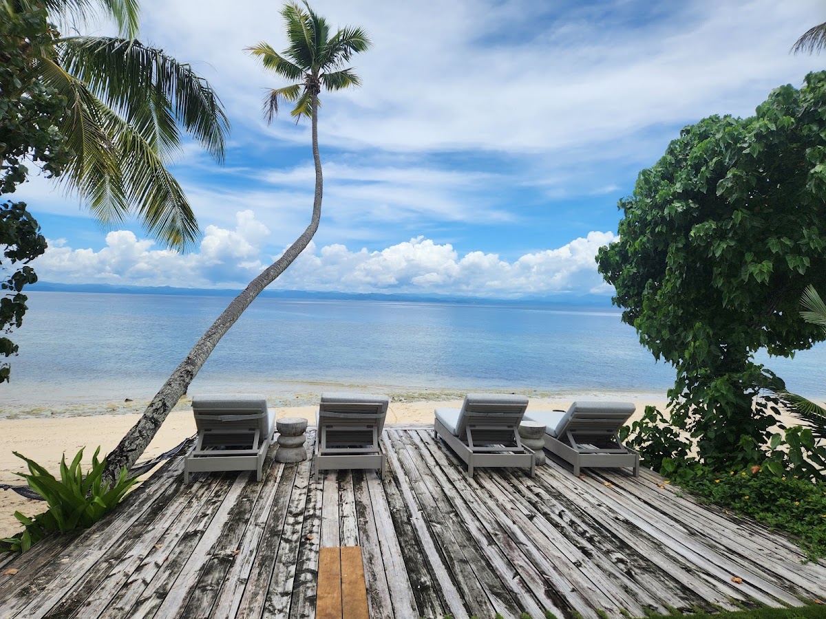 Lounge chairs on a weathered wooden deck face a calm turquoise ocean, with a curved palm tree and tropical vegetation framing the beach at Royal Davui Island Resort.