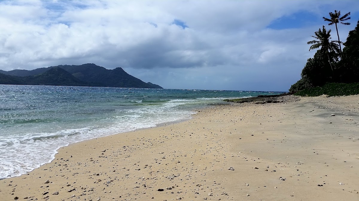 Sandy beach with gentle waves, palm trees, and a volcanic island mountain visible across the water under cloudy skies.