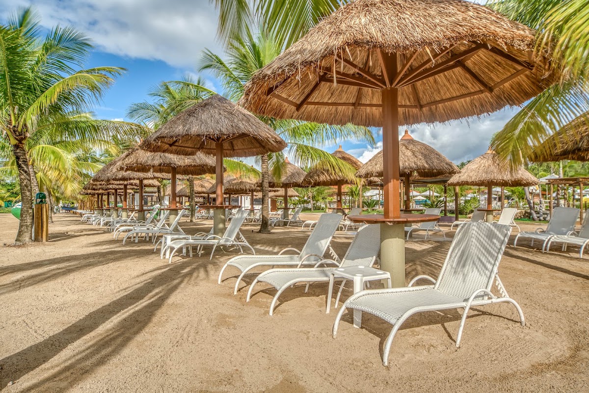 Thatched umbrellas and white lounge chairs line the sandy beach at Salinas Maragogi All Inclusive Resort, surrounded by palm trees under partly cloudy skies.