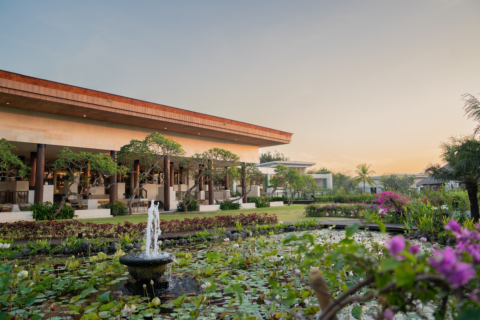 Lotus pond with fountain in foreground, purple flowers blooming, modern resort pavilion with wooden columns and terracotta roof beyond at sunset.