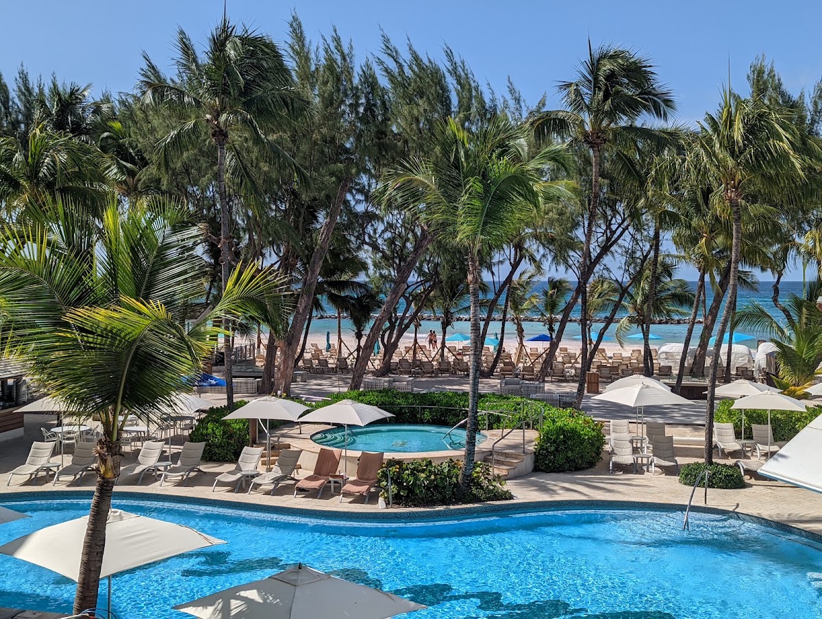 Curved pool with loungers and white umbrellas beneath tall palms, beach and ocean visible beyond at Sandals Barbados.