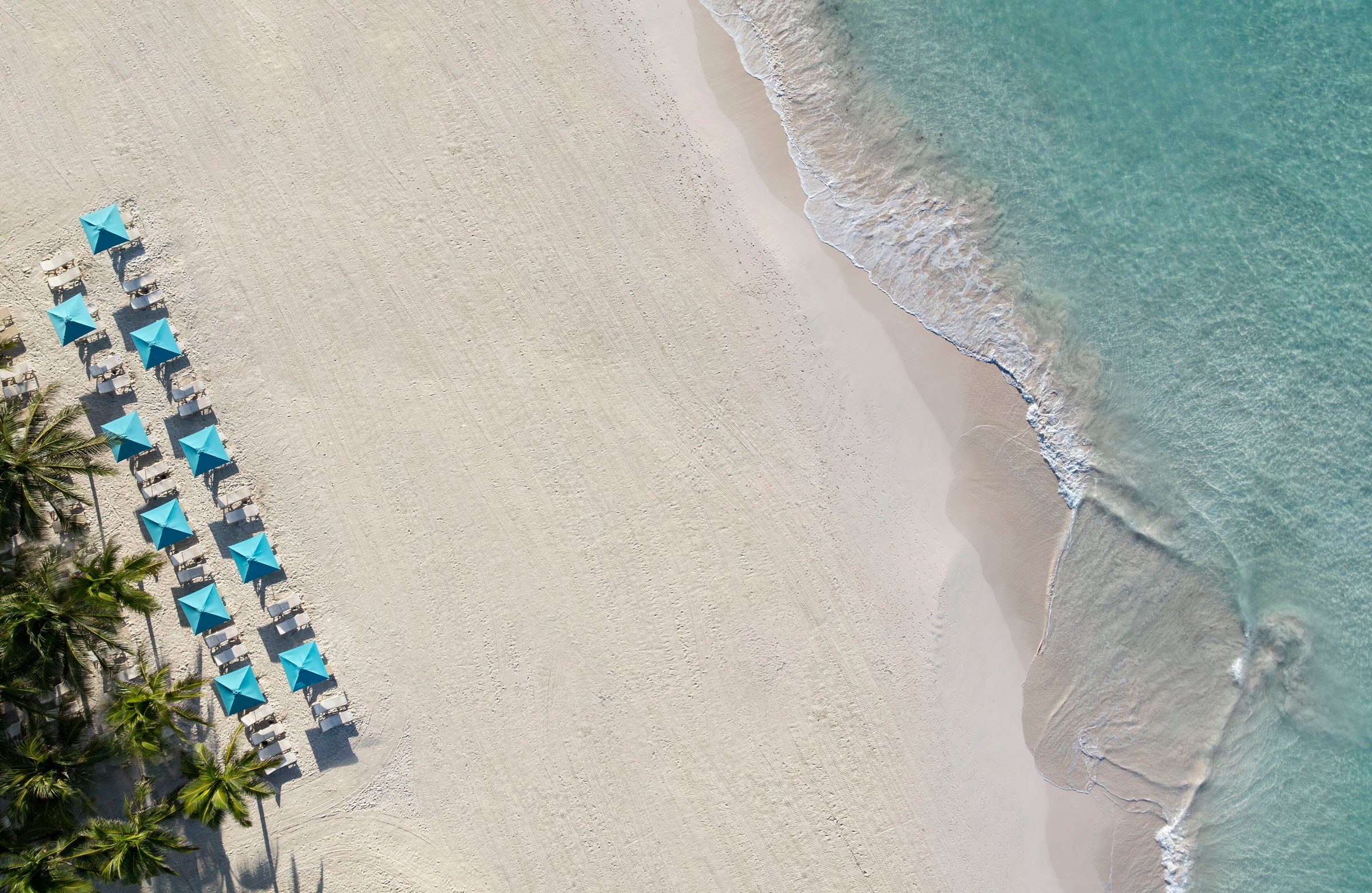 Top-down aerial of blue umbrellas lining the white sand at the surf line.