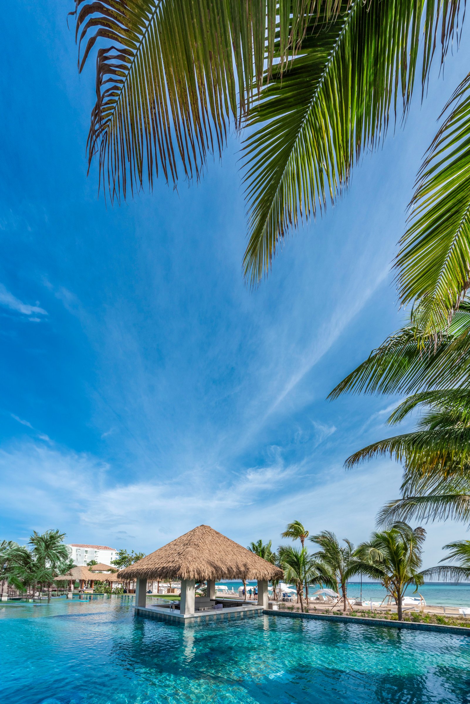 Thatched swim-up bar in the infinity pool framed by palm fronds.