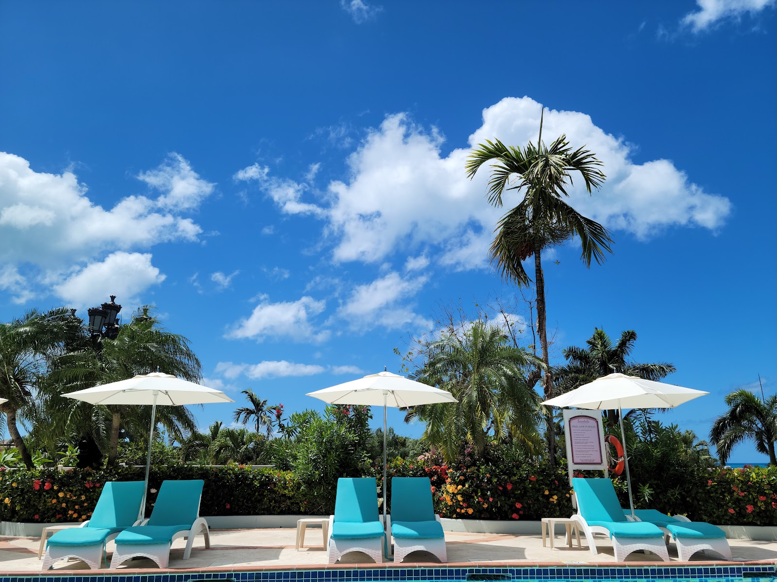 Turquoise lounge chairs with white umbrellas line a poolside deck at Sandals Grande Antigua, with tall palms and flowering shrubs under a blue sky.