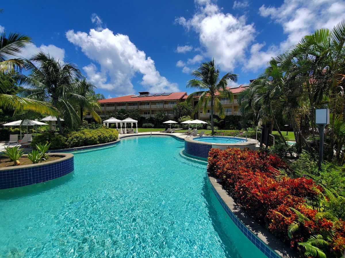 Curved turquoise pool with blue tile trim surrounded by palm trees, red flowering shrubs, white umbrellas, and a multi-story resort building with orange roof.
