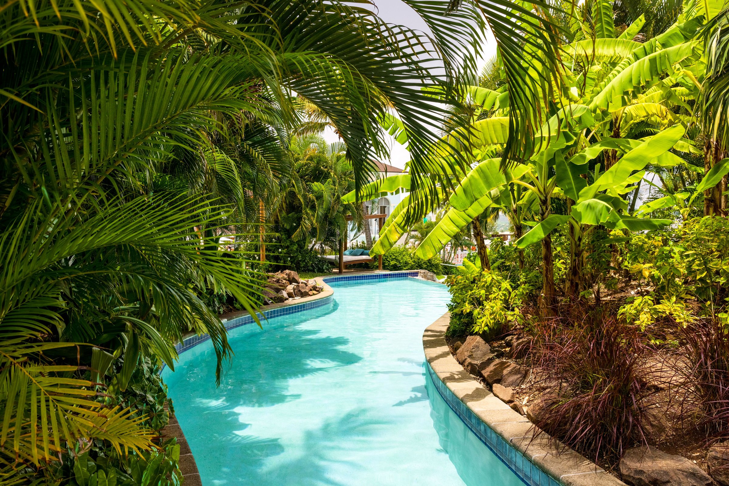 Lazy river pool winding through lush banana and palm planting.